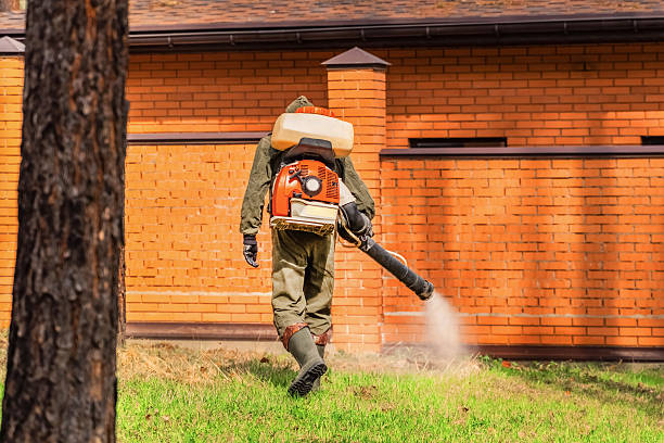 Trusted Ant Control service in New Stanton, PA - Nex Pest Control